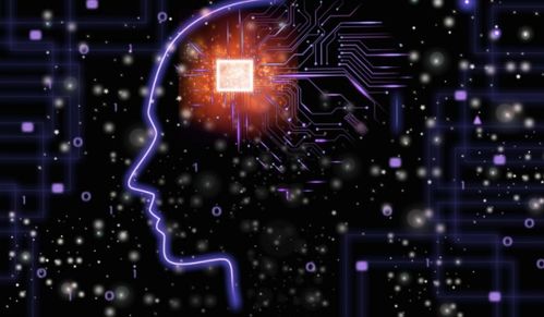 人工智能入門 基礎(chǔ)軟件開發(fā)知識(shí)指南